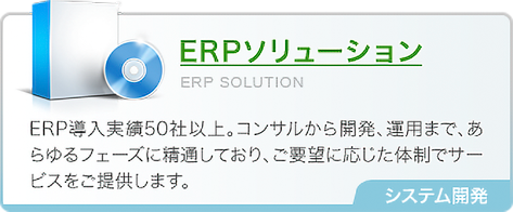 ERPソリューション